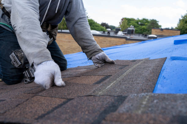 Roof Insulation in Winlock, WA